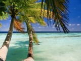 Seychely - dovolená ve Villa Vanilla